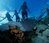 Snorkeling